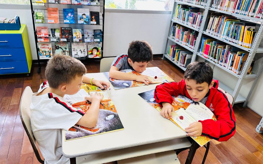 Cartas de Ronroroso - 3º ano