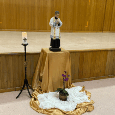 Dia Festivo de Dom Bosco